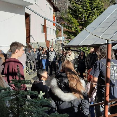 Casa Cristina_ Cabana Buşteni Εξωτερικό φωτογραφία