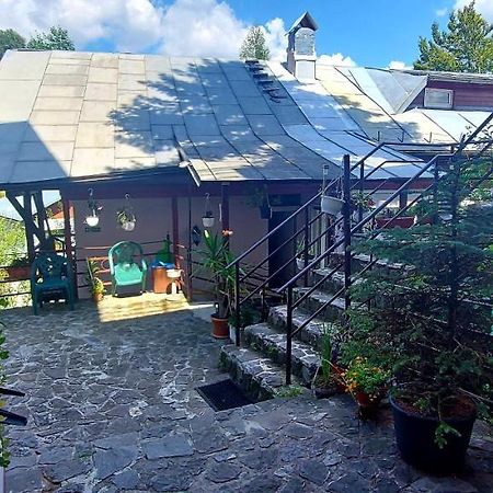 Casa Cristina_ Cabana Buşteni Εξωτερικό φωτογραφία