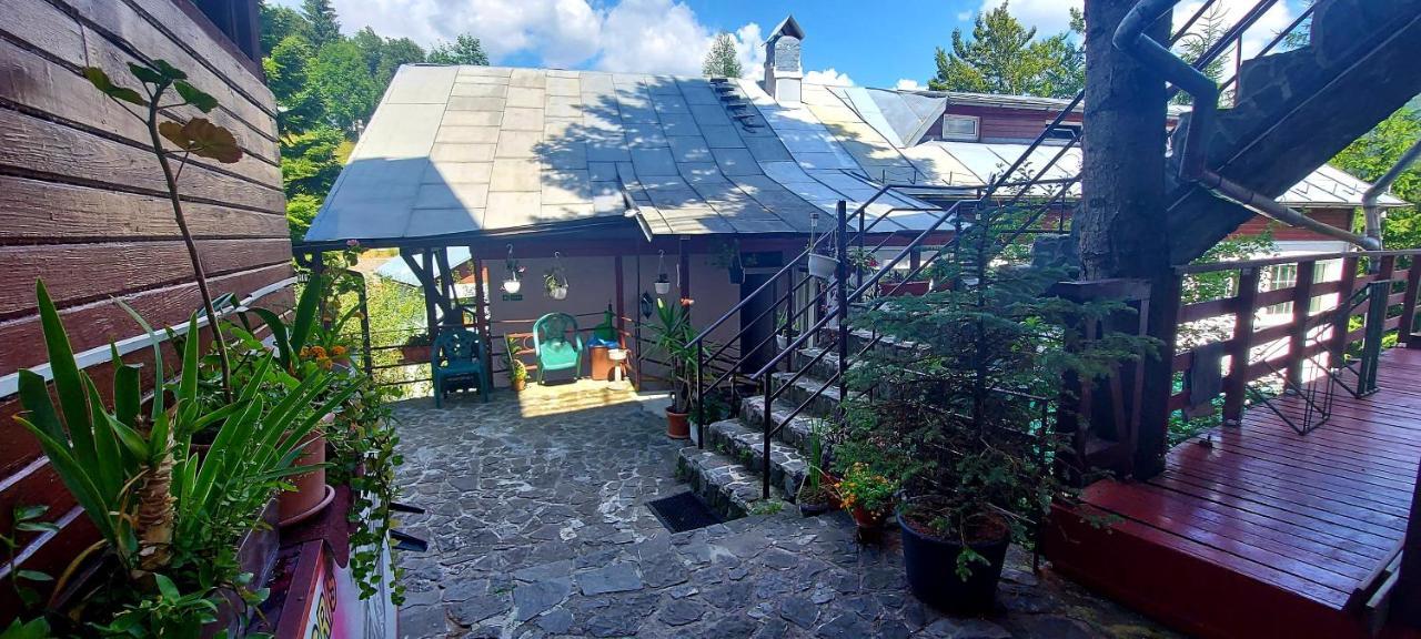 Casa Cristina_ Cabana Buşteni Εξωτερικό φωτογραφία